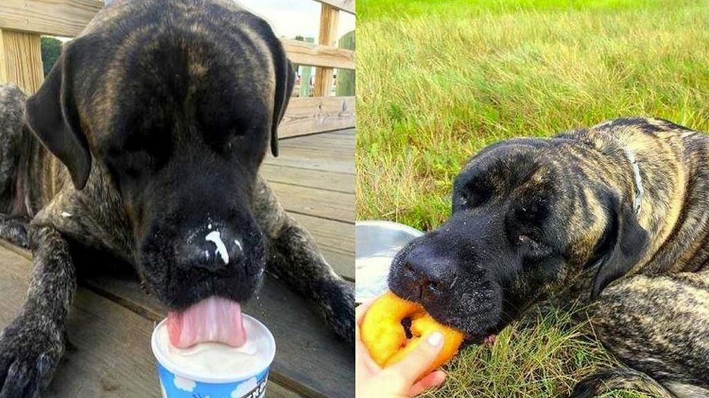 Disfrutar de la comida 'prohibida'