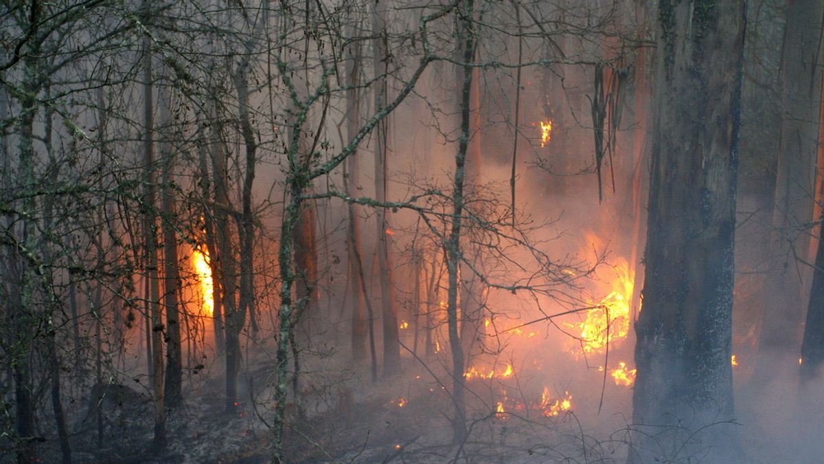 Incendio en Fragas do Eume, en Galicia