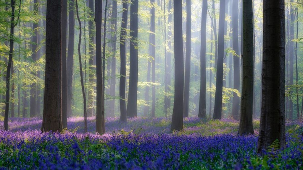 10 paisajes espectaculares para no perderse