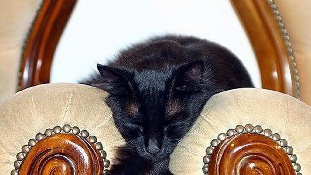 Cualquier lugar y momento es bueno para echar un sueño reparador