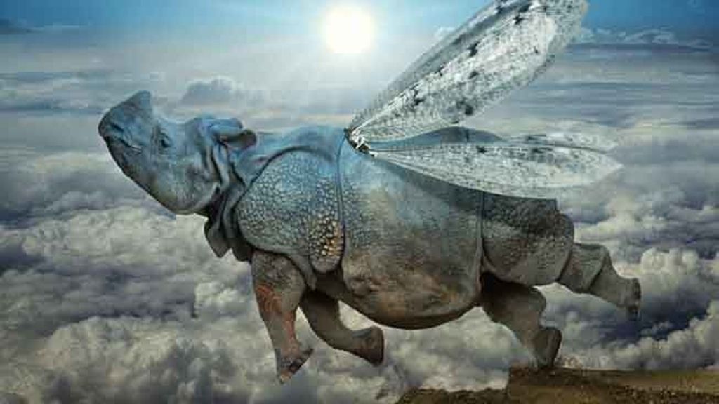 Maravillas del reino animal