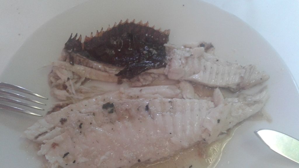 rodaballo, pescado, plato de comida