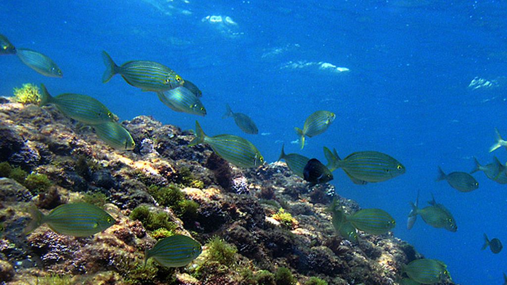 Jávea, Alicante, España
