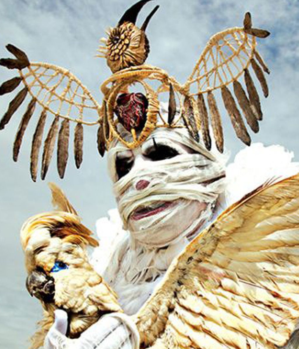 Polémicas fotografías escalofriantes con animales disecados