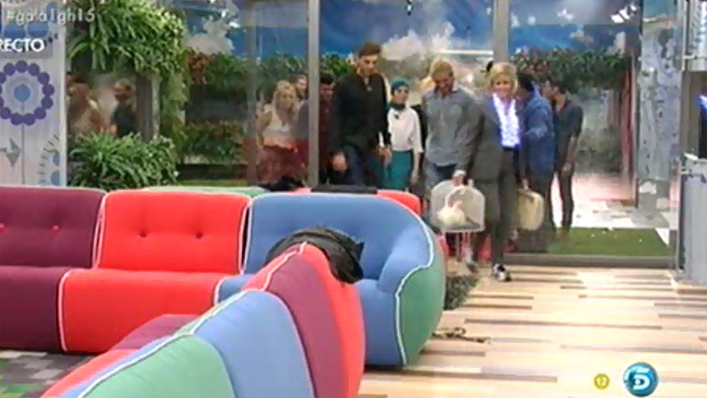 Mercedes entra acompañada de la gallina Falacia