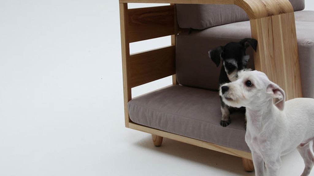 Las mascotas ya pueden dormir en el sofá