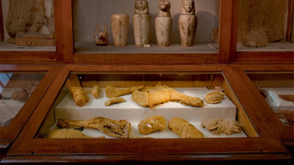 No sólo los faraones eran momIficados