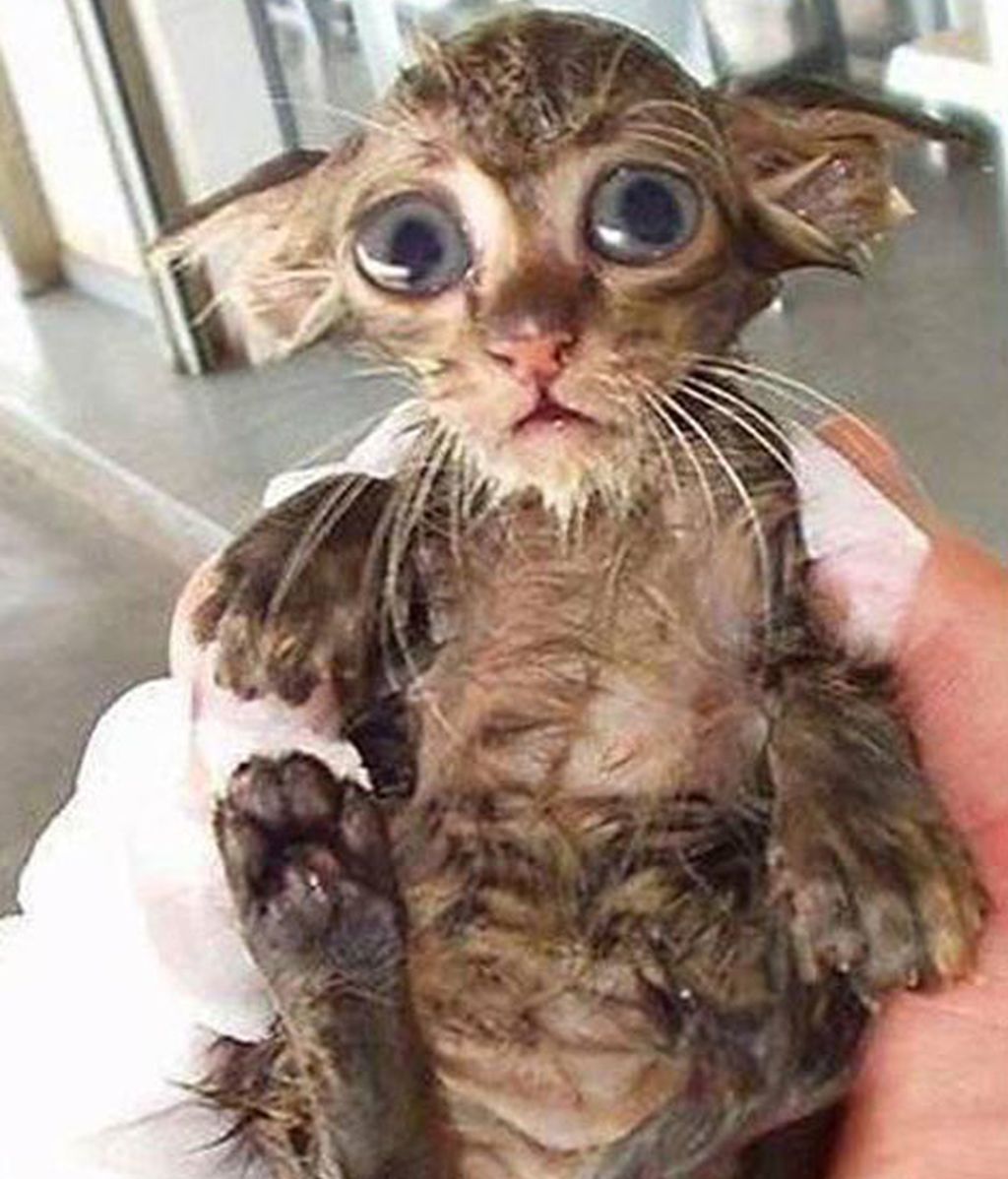 ¡Odio bañarme!