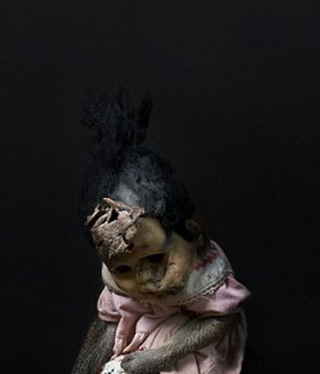 Arte inquietante por la dignidad animal