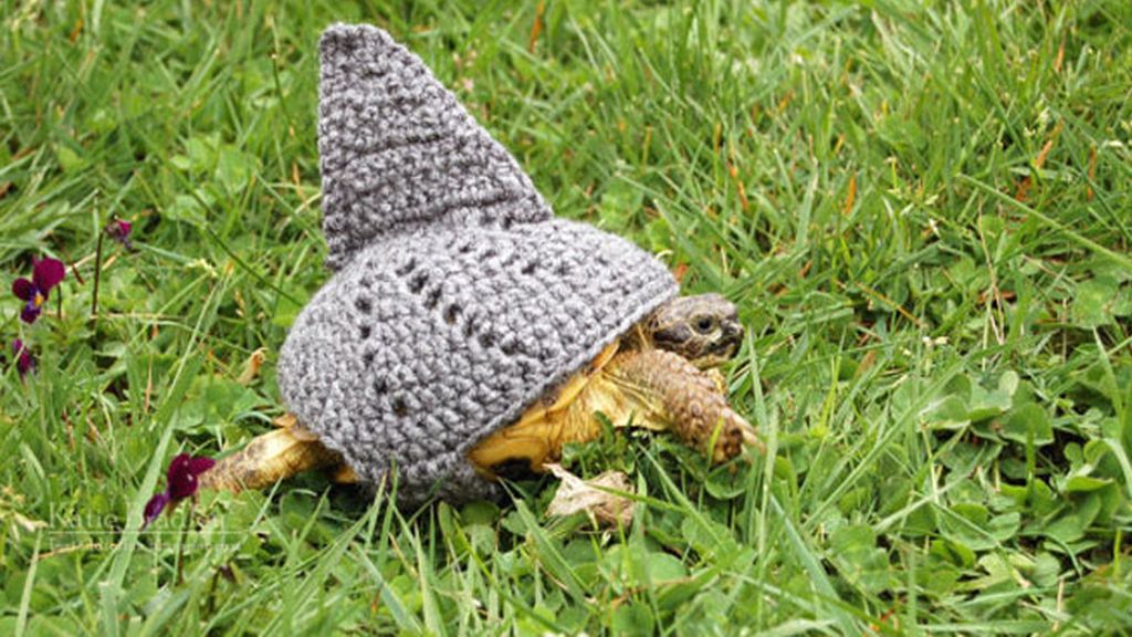 Las tortugas y sus trajes de ganchillo