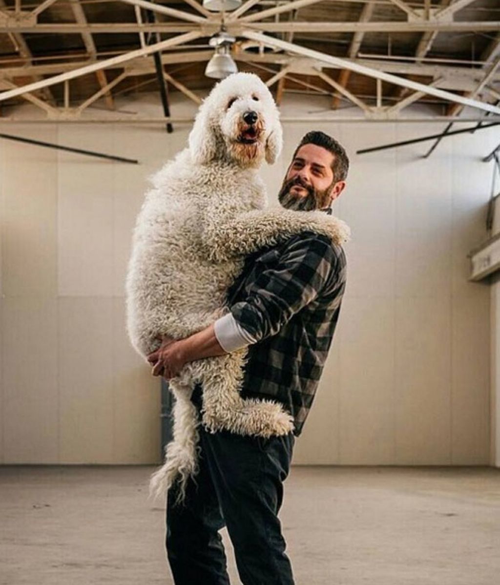 El fotógrafo venció la depresión con su mascota
