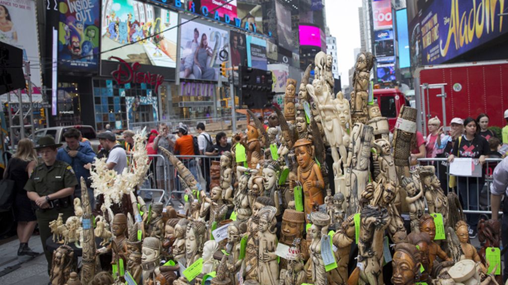 Piezas de marfil en Times Square para concienciar contra el tráfico