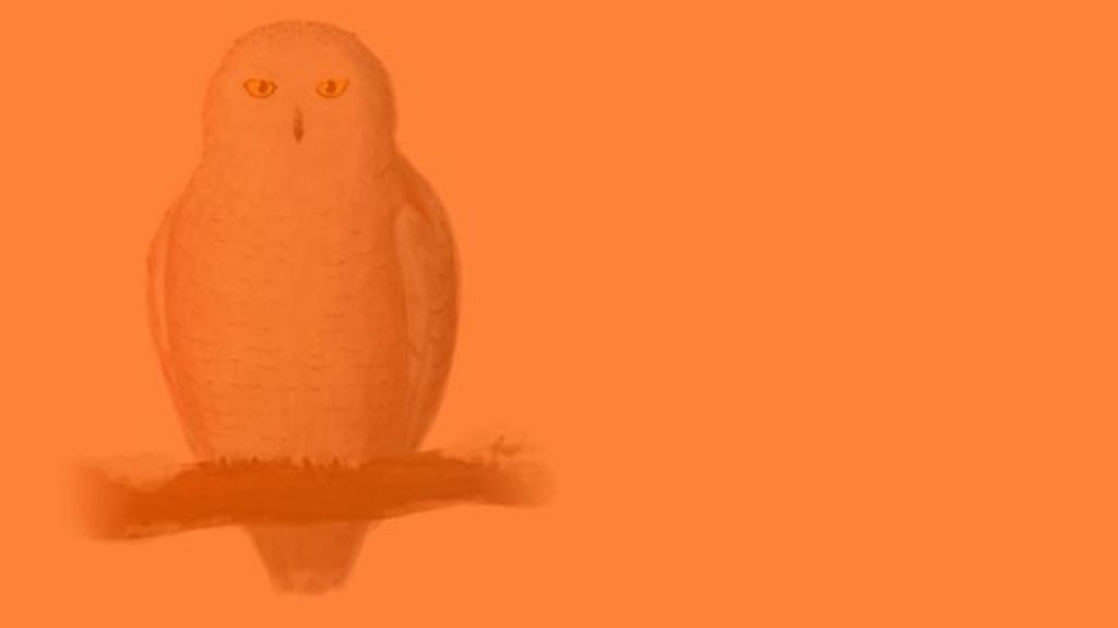 Unas imágenes de color con unas figuras escondidas