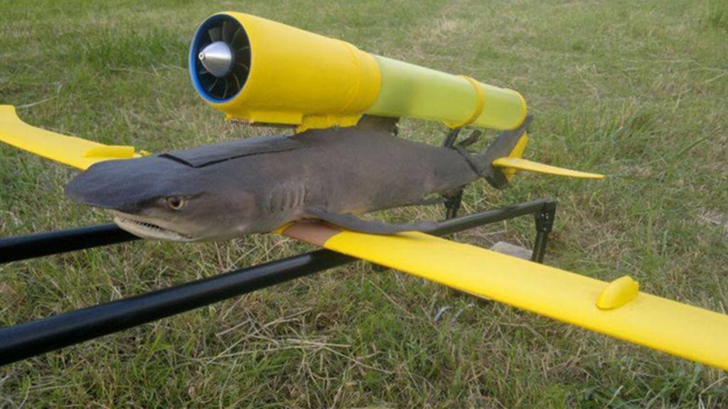 La 'animalista' afición que une taxidermia y drones