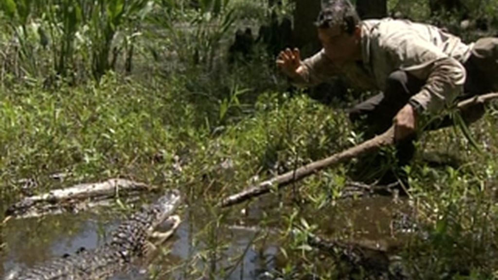 Cómo sobrevivir en el sur profundo (Luisiana)