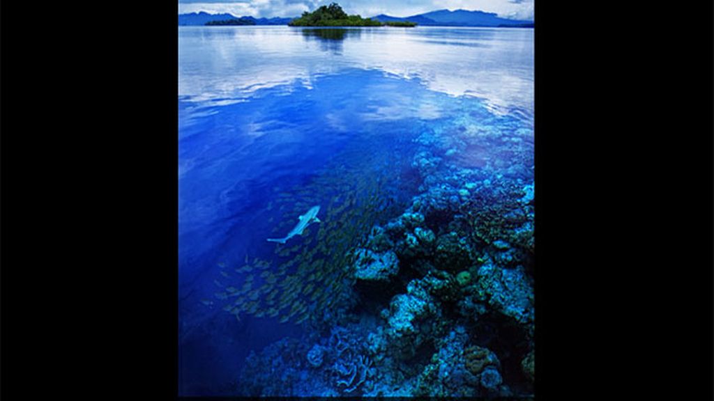 Ganador en la categoría 'Hondo y Profundo', por Stuart Chape