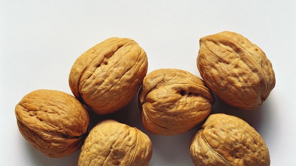 Nueces