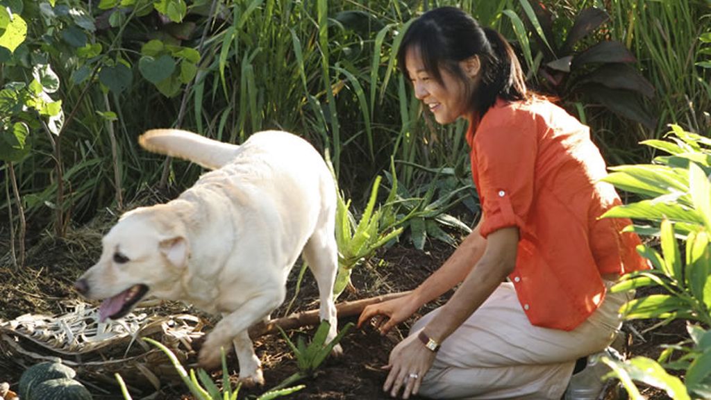 Sun y el perro de Walt, Vincent