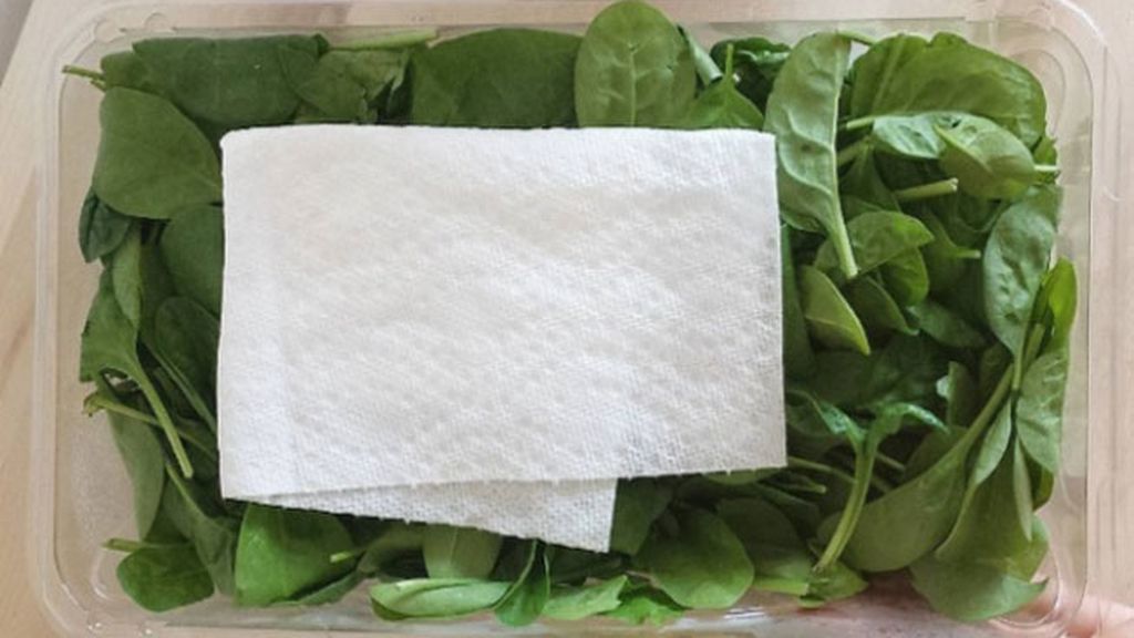 Conservar hojas de ensalada