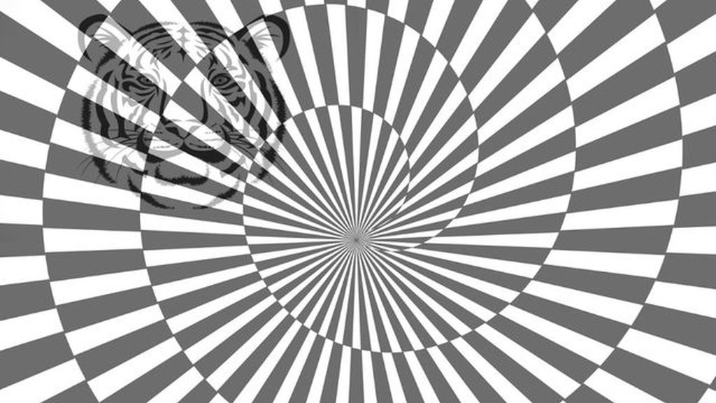 Unas imágenes de color con unas figuras escondidas