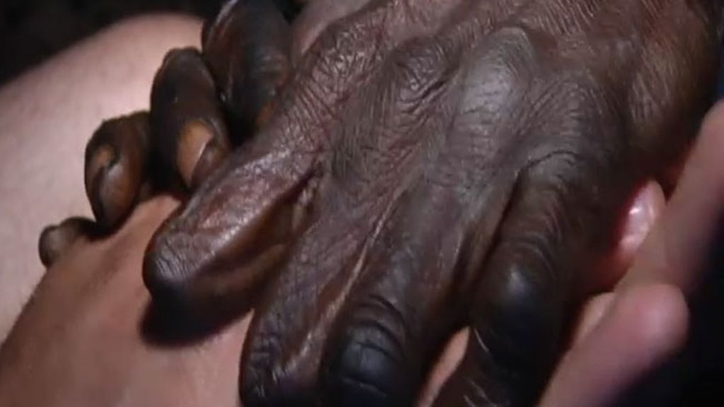 La tribu Dani y korowai en imágenes