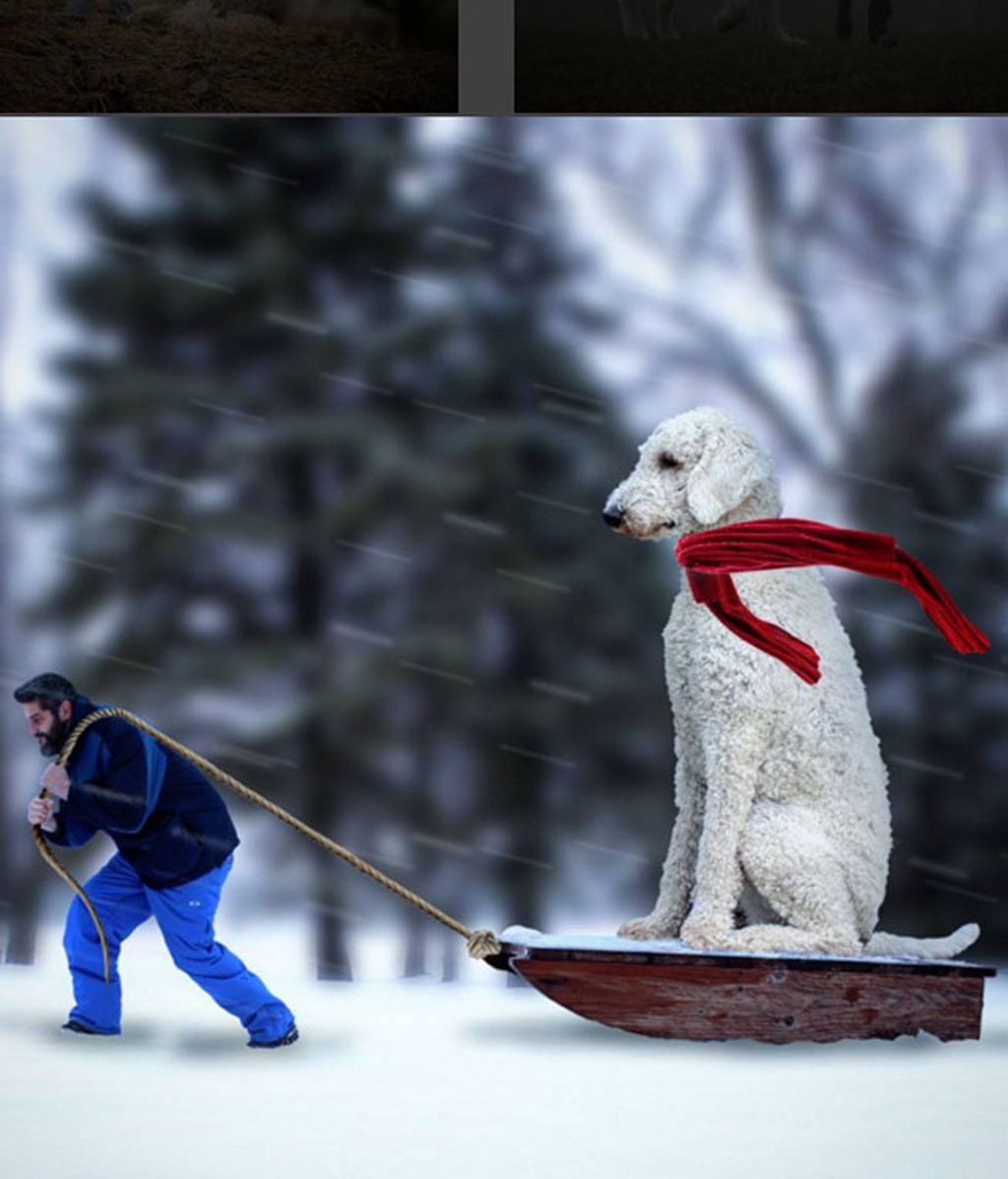 El fotógrafo venció la depresión con su mascota