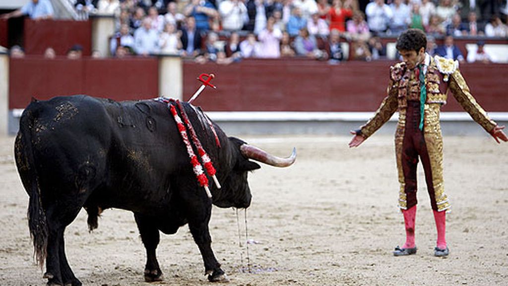 José Tomás, cogido en Las Ventas