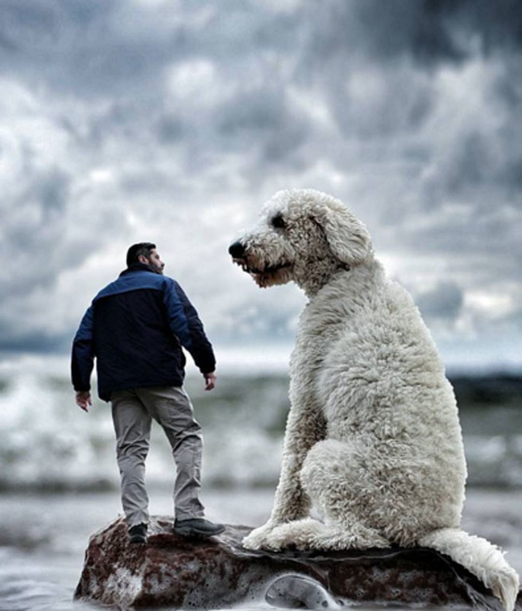 El fotógrafo venció la depresión con su mascota