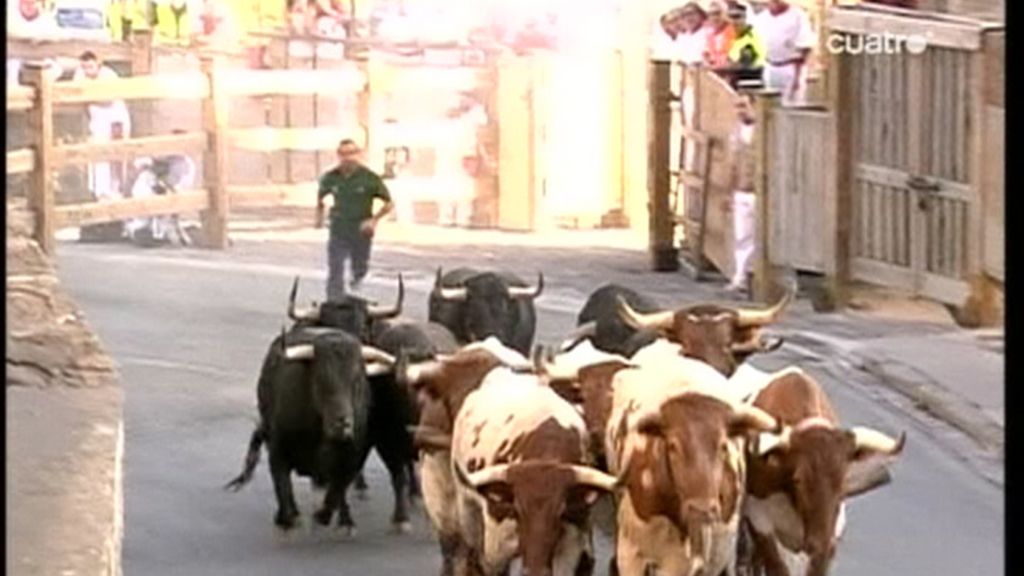 Séptimo encierro de las fiestas