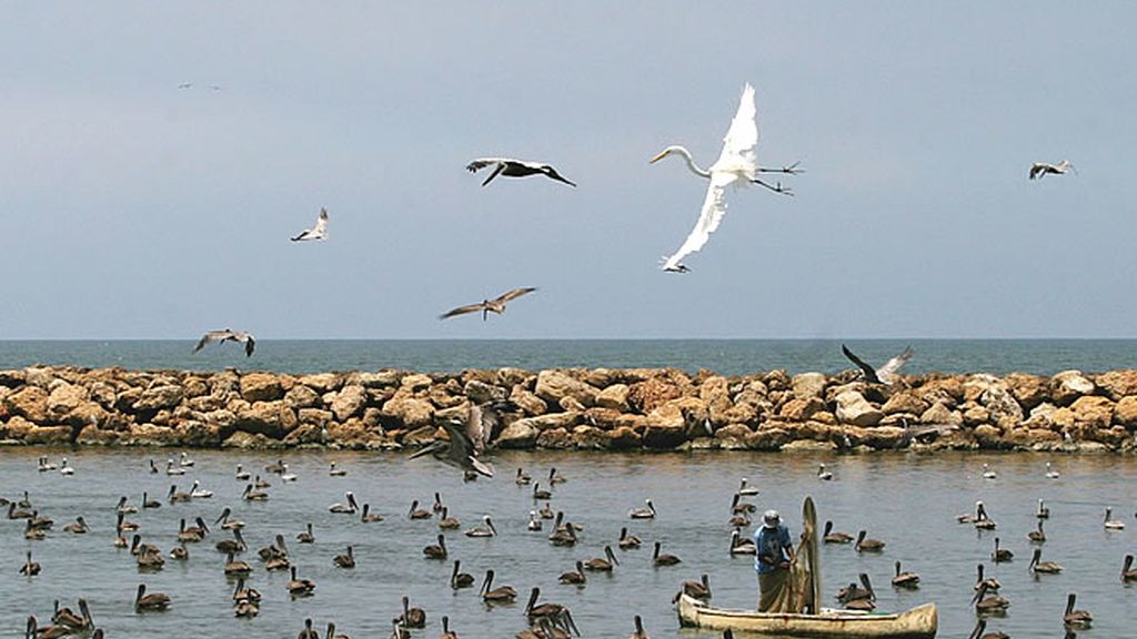 Un hombre pesca en la ciudad colombiana de Cartagena de Indias
