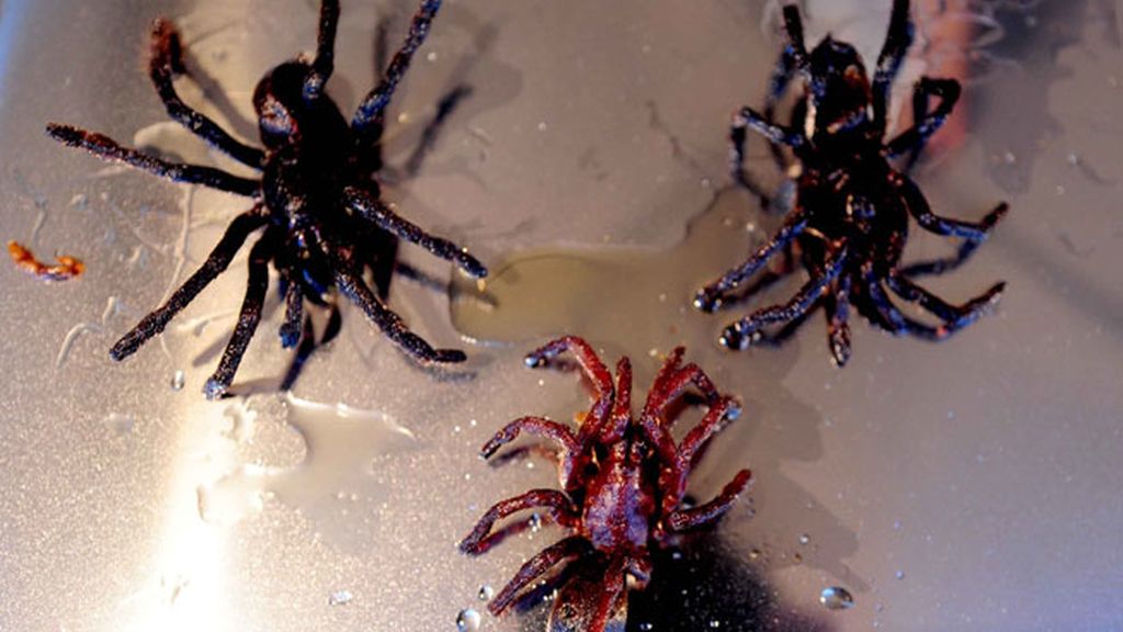 Festival de comida a base de insectos en China