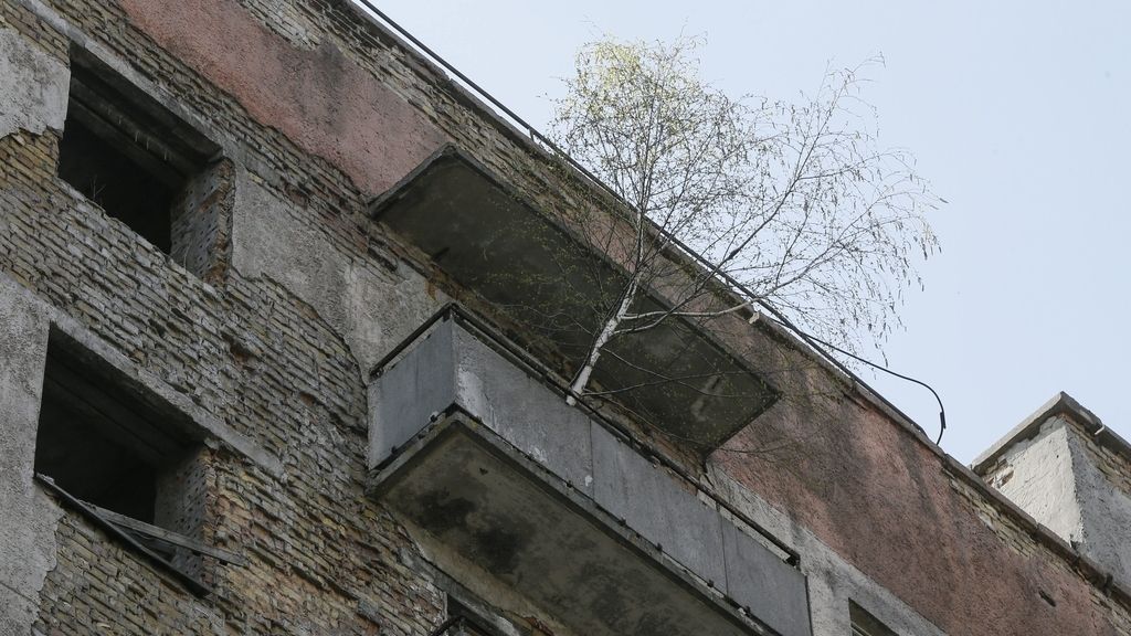 Un experimento causó la catástrofe