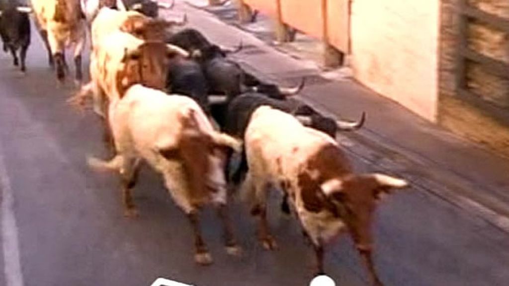 La manada a su paso por la cuesta de Santo Domingo