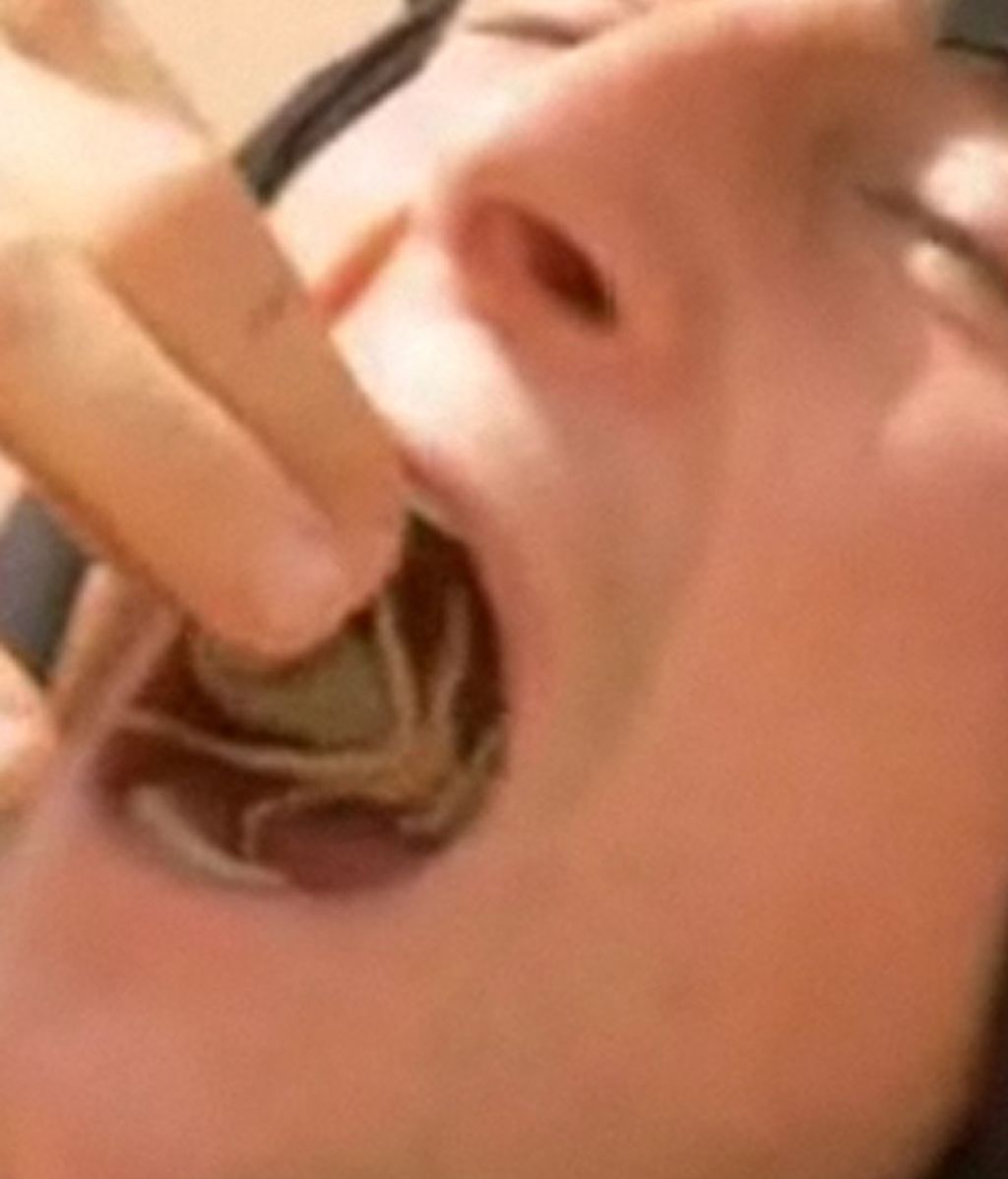 Bear Grylls comiendose una araña