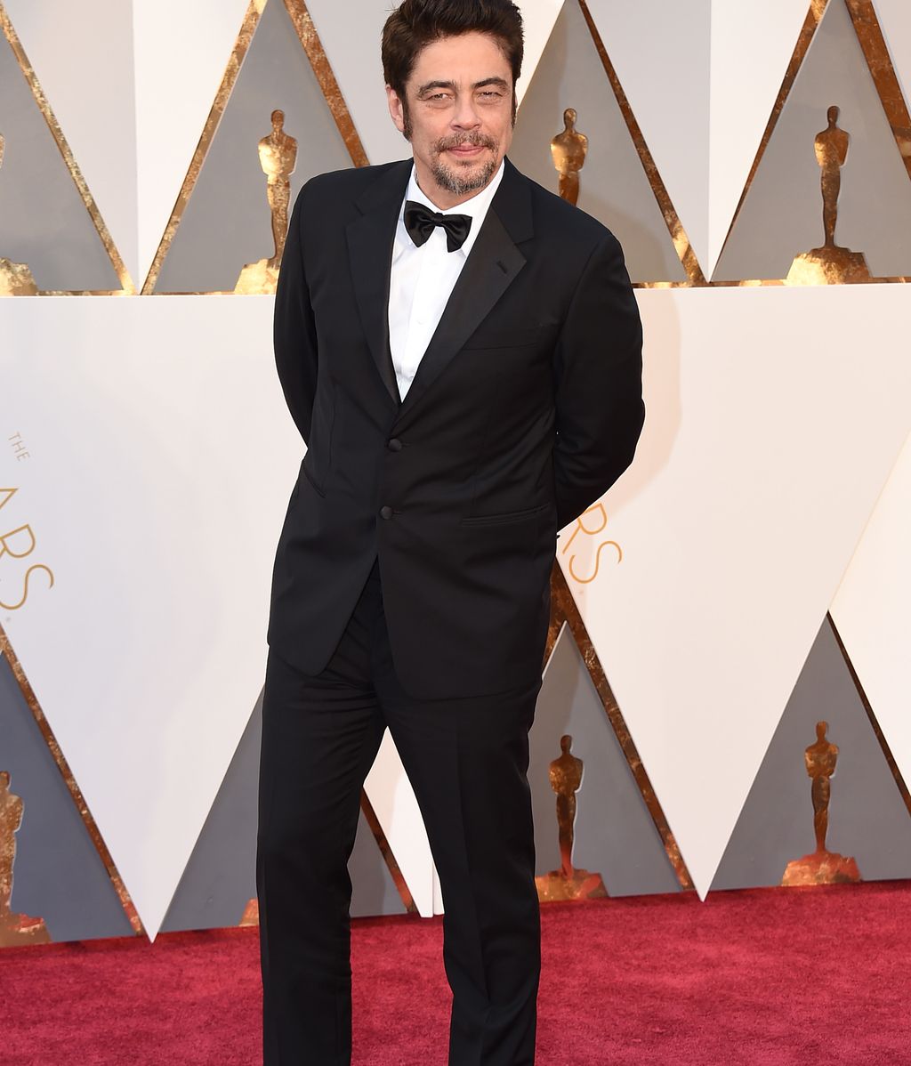 Benicio del Toro