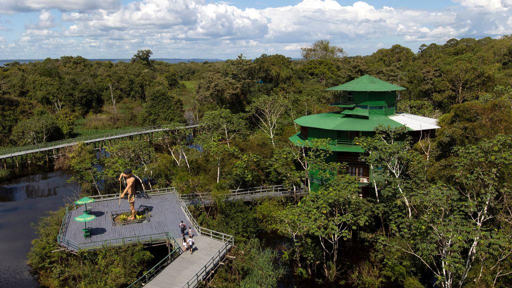 Hotel Ariau
