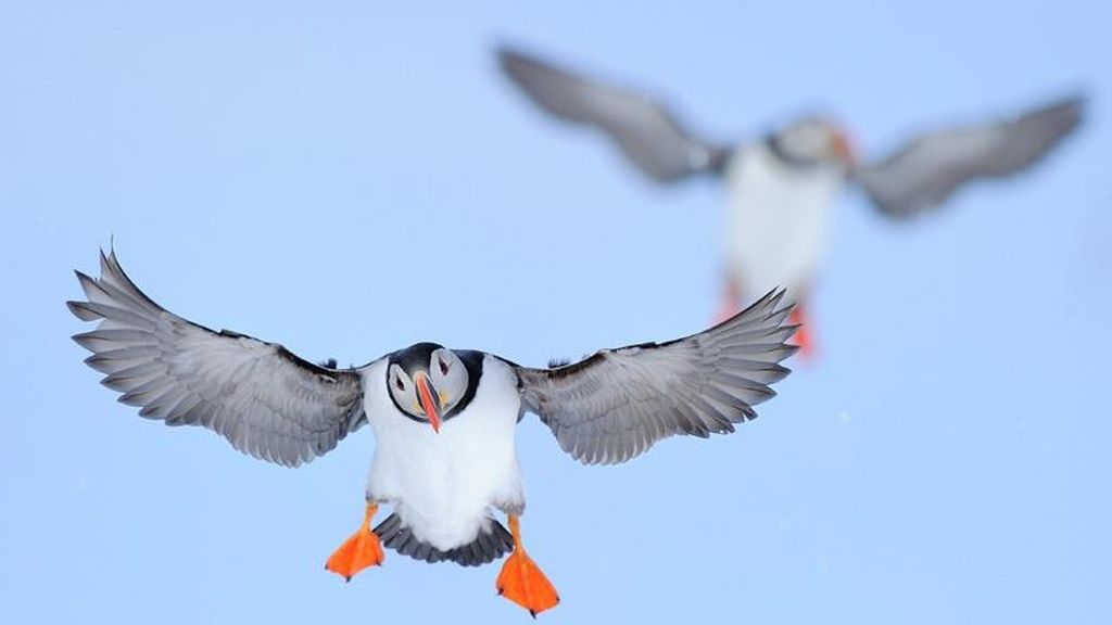 La naturaleza a concurso