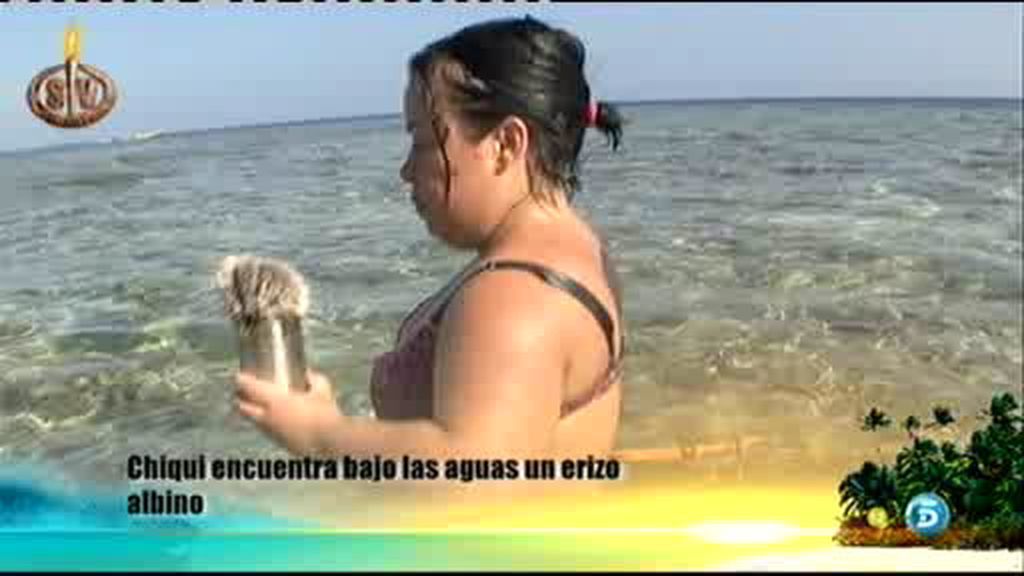 Vivi se ha comido el cebo de pescar