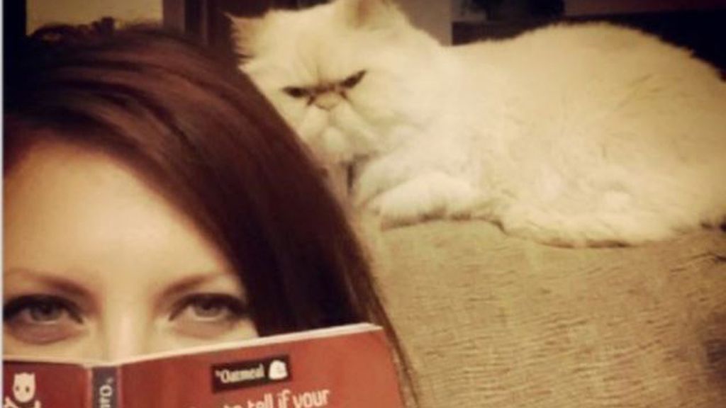 Gatos infernales: El lado oscuro de nuestra mascota