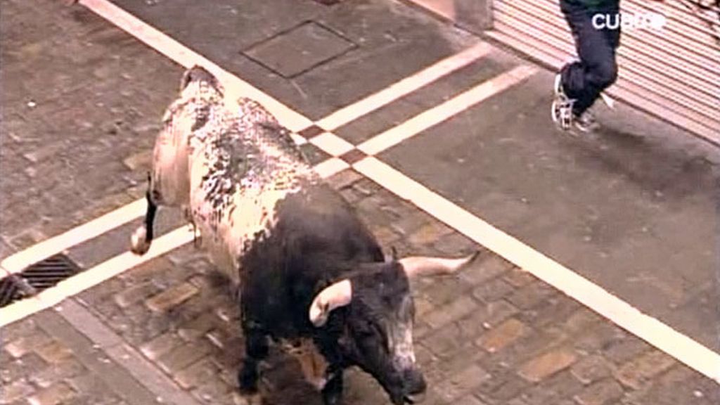 Agónico encierro de los toros de Miura