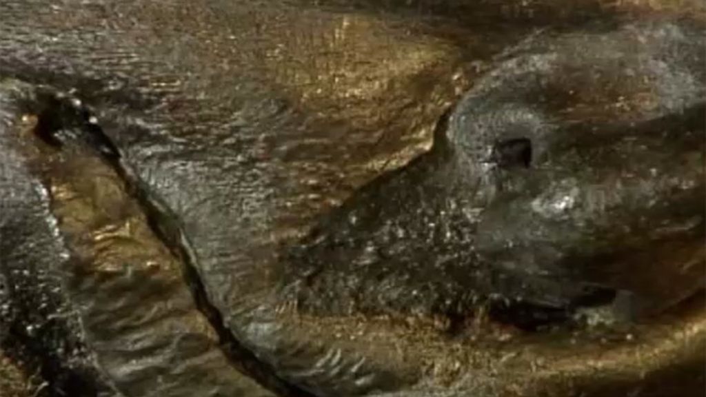 Las mejores imágenes del programa