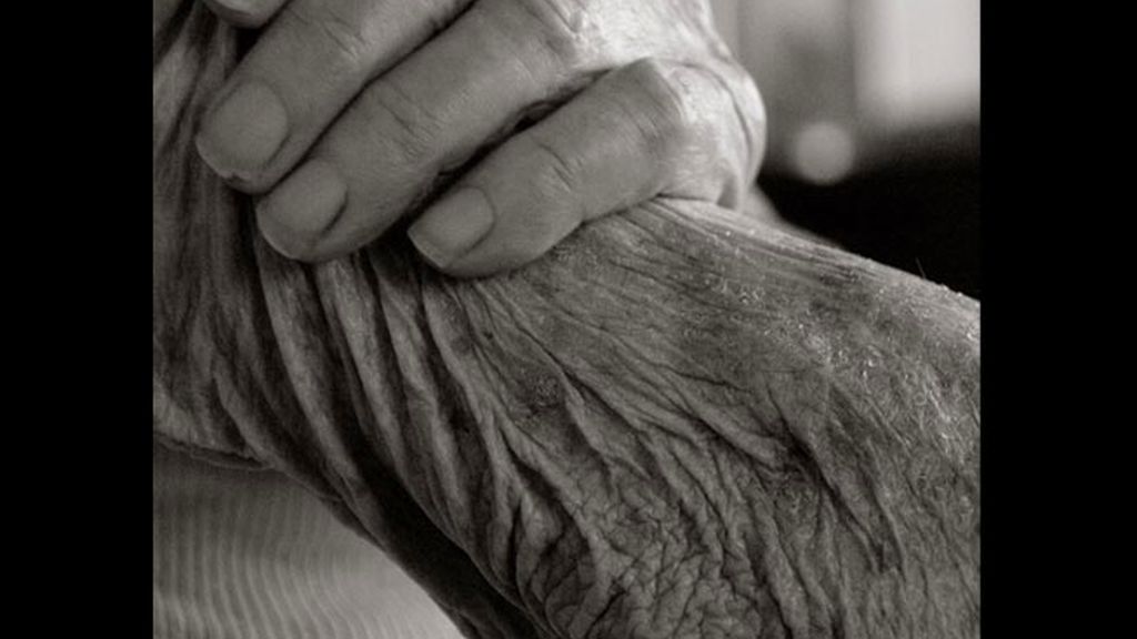 El proyecto de reivindicar la edad y el envejecimiento