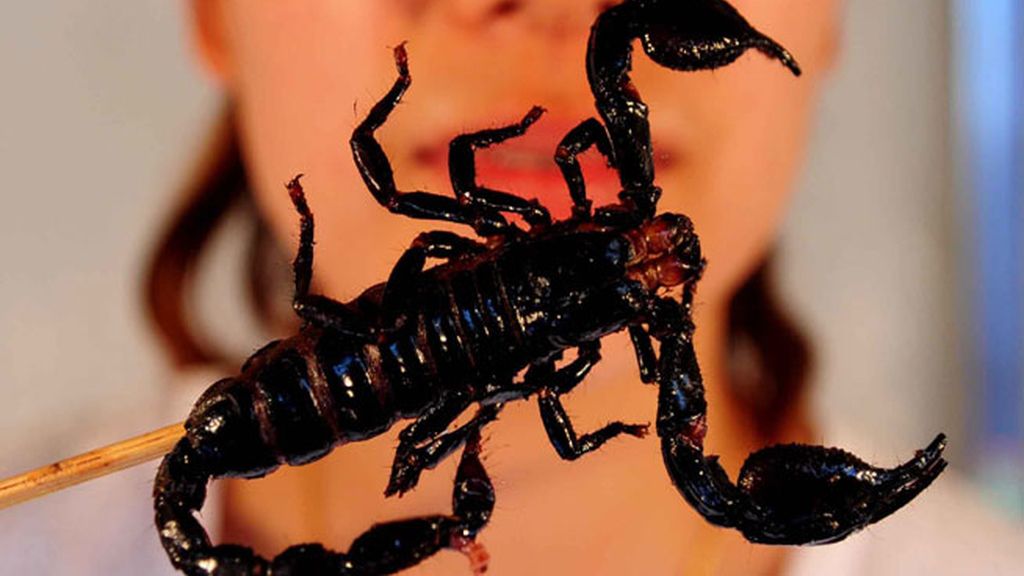 Festival de comida a base de insectos en China