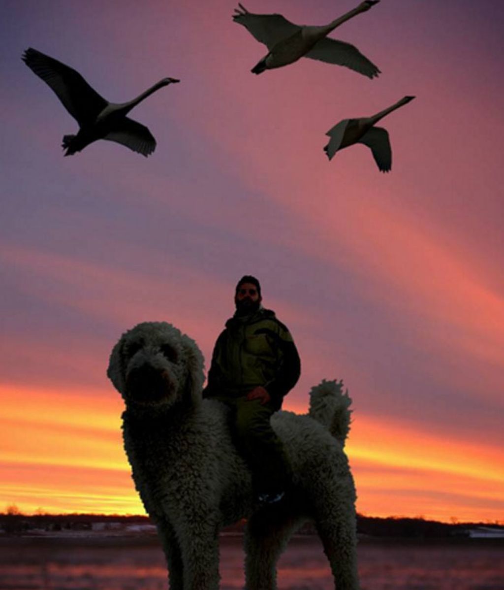 El fotógrafo venció la depresión con su mascota