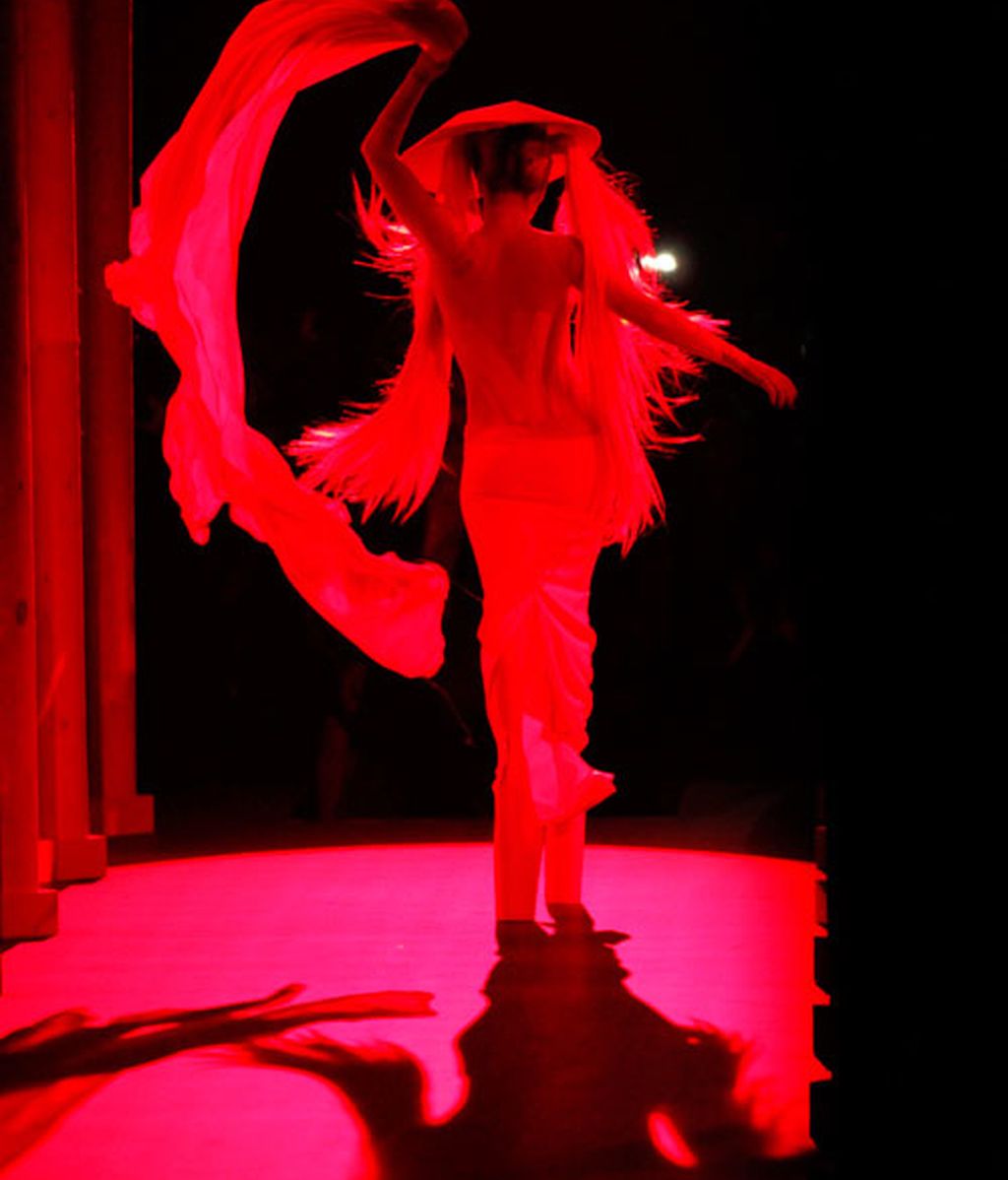 El debut de Lady Gaga como modelo