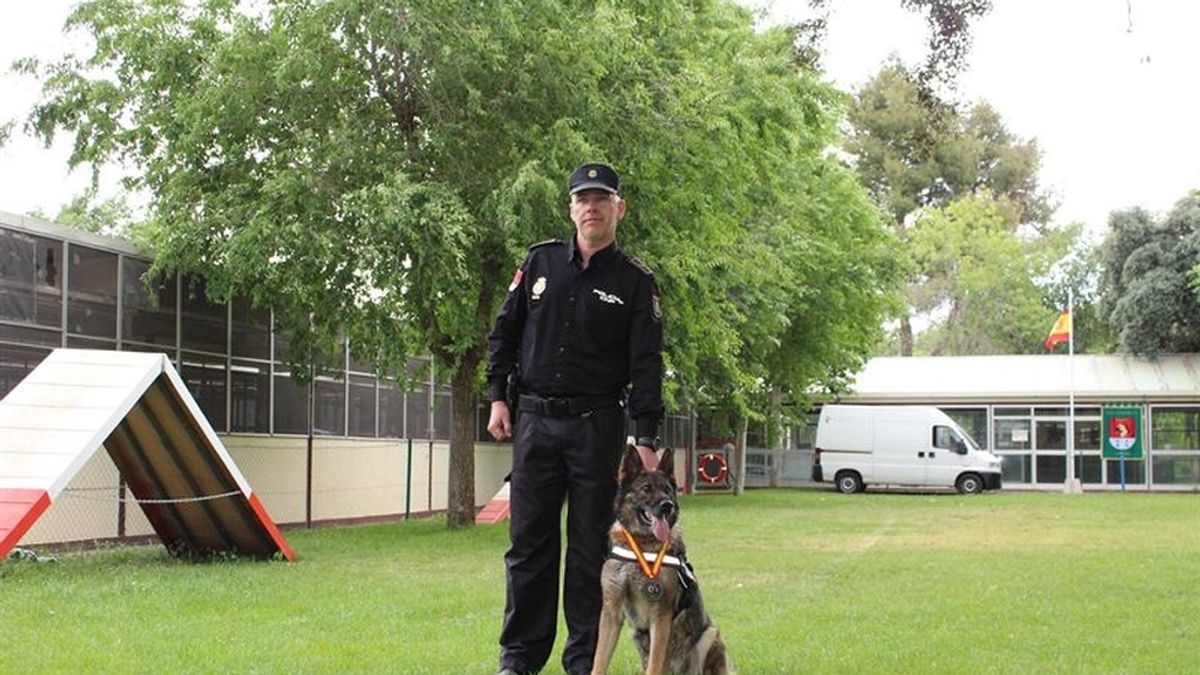 La perra 'Nena' recibe el premio al mejor can de 2014 de la Policía Nacional