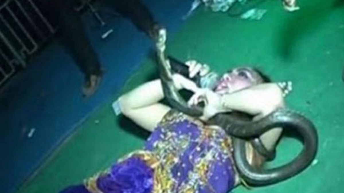 cantante muere mordida,mordida serpiente,mordida de cobra,Irma Bule, Indonesia