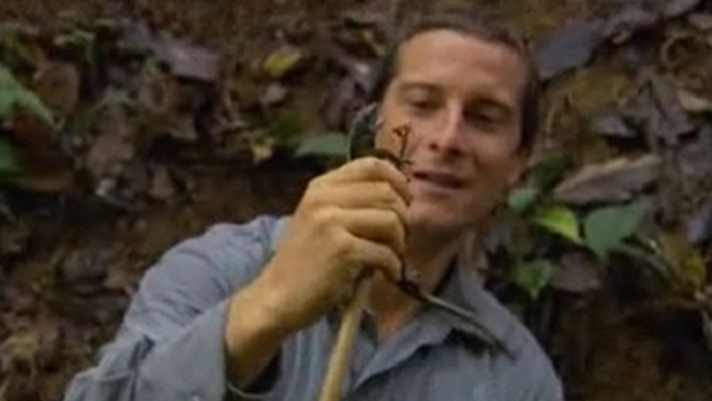 Fotos de Bear Grylls