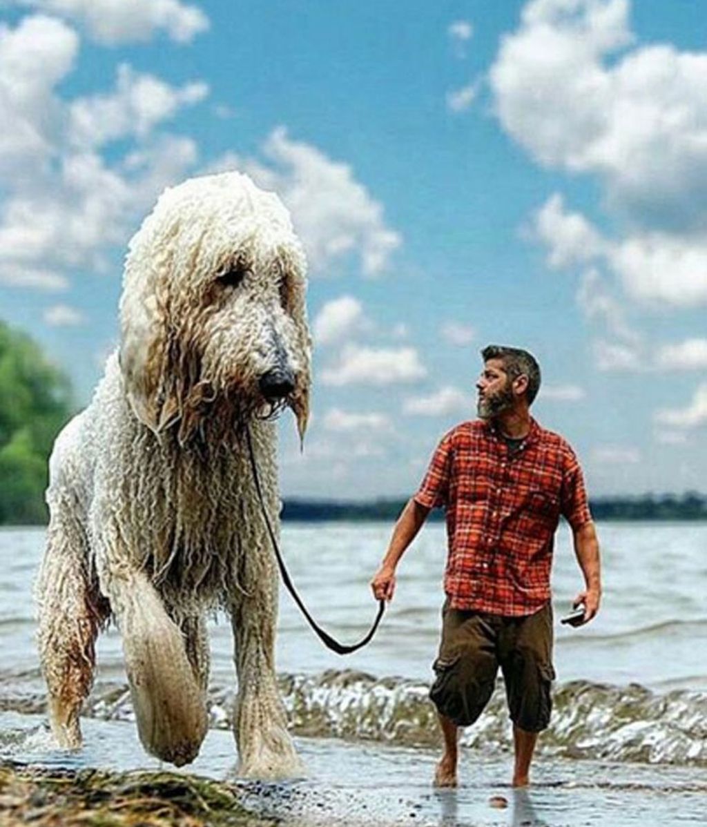 Chris, el hombre que se inventó un perro gigante para superar la tristeza