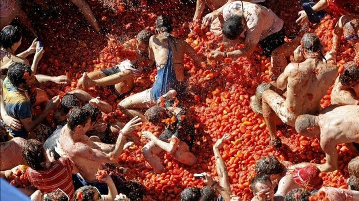 140.000 kilos de tomate para la fiesta de la Tomatina 2014 en Buñol
